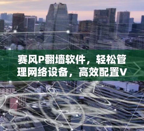 赛风P<strong>翻墙</strong>软件，轻松管理网络设备，高效配置VPN
