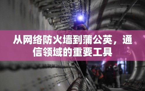 从网络防火墙到蒲公英,通信领域的重要工具 从网络防火墙到蒲公英,通信领域的重要工具