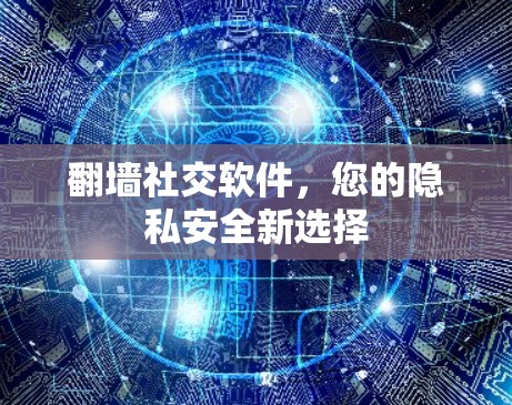 翻墙社交软件，您的隐私安全新选择