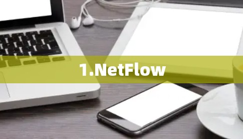 1.NetFlow