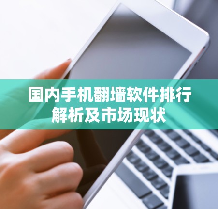 国内手机翻墙软件排行解析及市场现状
