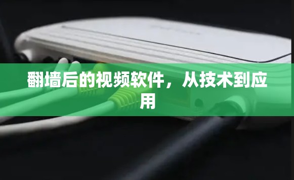 翻墙后的视频软件，从技术到应用