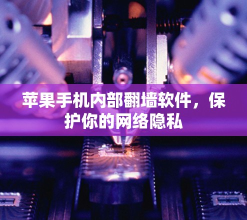 苹果手机内部翻墙软件，保护你的网络隐私