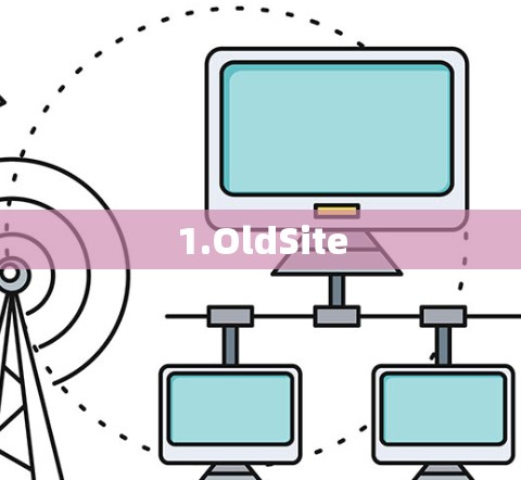 1.OldSite