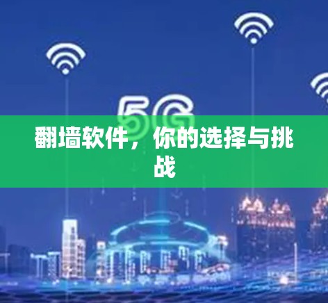 翻墙软件，你的选择与挑战