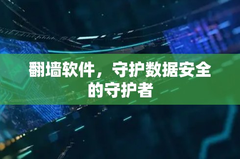 <strong>翻墙</strong>软件，守护数据安全的守护者