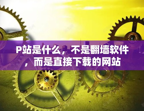 P站是什么，不是<strong>翻墙</strong>软件，而是直接下载的网站