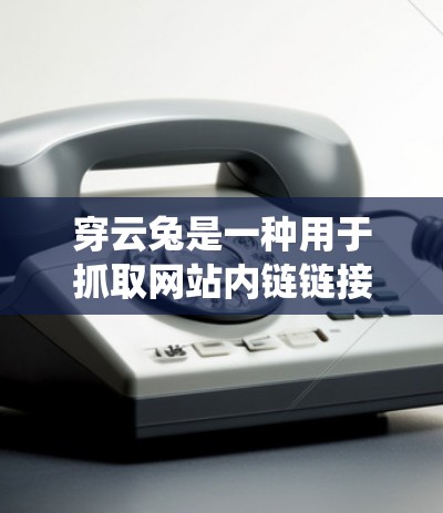 穿云兔是一种用于抓取网站内链链接的爬虫工具，通常用于网站的安全监控和排名作弊。如果您需要下载或使用穿云兔，可以按照以下步骤操作