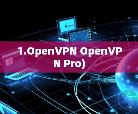 1.OpenVPN OpenVPN Pro)