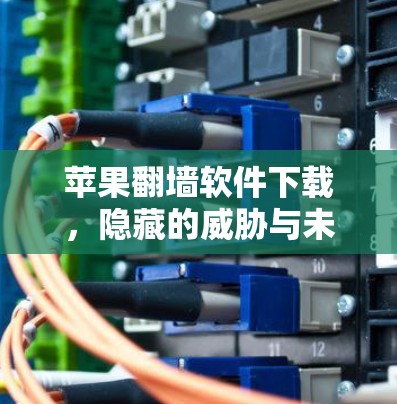 苹果<strong>翻墙</strong>软件下载，隐藏的威胁与未来的挑战