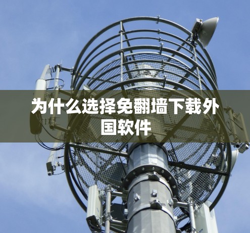 为什么选择免<strong>翻墙</strong>下载外国软件
