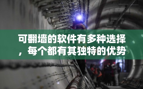 可<strong>翻墙</strong>的软件有多种选择，每个都有其独特的优势和功能，适合不同需求的用户。以下是几种常见的可<strong>翻墙</strong>软件及其特点