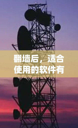 <strong>翻墙</strong>后，适合使用的软件有W3Flip、Netoretention和Netaverse。以下是对这些软件的详细分析