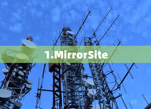1.MirrorSite