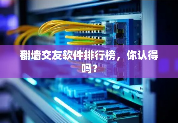 <strong>翻墙</strong>交友软件排行榜，你认得吗？