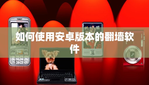 如何使用安卓版本的<strong>翻墙</strong>软件