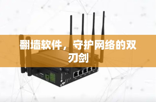 <strong>翻墙</strong>软件，守护网络的双刃剑