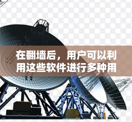 在<strong>翻墙</strong>后，用户可以利用这些软件进行多种用途，包括开发、学习和娱乐。以下是一些适合在无网络环境下的软件建议