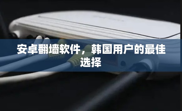安卓<strong>翻墙</strong>软件，韩国用户的最佳选择