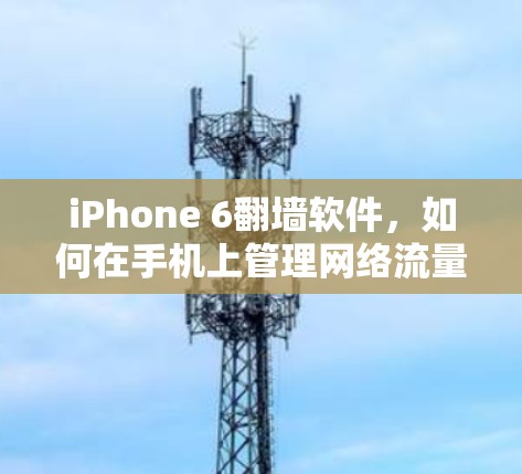 iPhone 6<strong>翻墙</strong>软件，如何在手机上管理网络流量与隐私