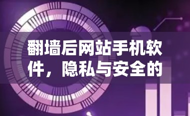 <strong>翻墙</strong>后网站手机软件，隐私与安全的双重困境