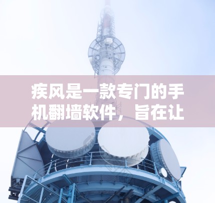 疾风是一款专门的手机<strong>翻墙</strong>软件，旨在让用户将手机上的视频、照片等内容复制到电脑上，从而方便在电脑上浏览和保存这些文件。以下是关于疾风的详细信息