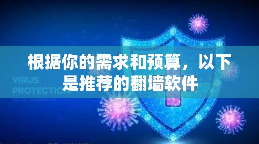 根据你的需求和预算，以下是推荐的<strong>翻墙</strong>软件