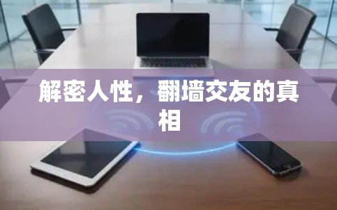 解密人性，<strong>翻墙</strong>交友的真相