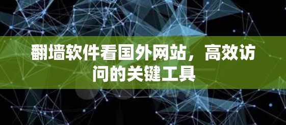 <strong>翻墙</strong>软件看国外网站，高效访问的关键工具