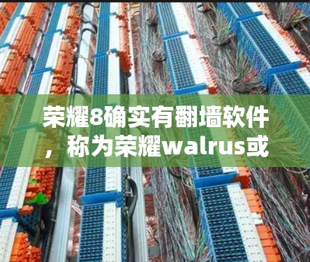 荣耀8确实有<strong>翻墙</strong>软件，称为荣耀walrus或<strong>翻墙</strong>软件。这个软件允许用户将荣耀8手机上的应用和数据复制到其他设备上。用户可以通过以下步骤使用该软件