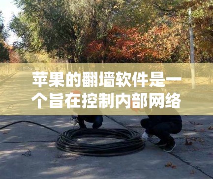 苹果的<strong>翻墙</strong>软件是一个旨在控制内部网络环境的工具，允许用户访问苹果内部服务器，防止网络攻击。以下是对苹果<strong>翻墙</strong>软件的系统性介绍