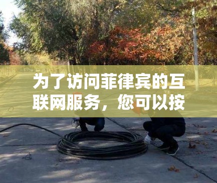 为了访问菲律宾的互联网服务，您可以按照以下步骤进行操作