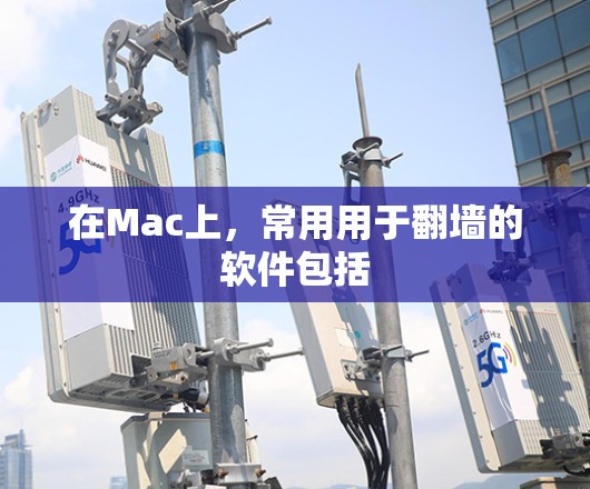 在Mac上，常用用于<strong>翻墙</strong>的软件包括