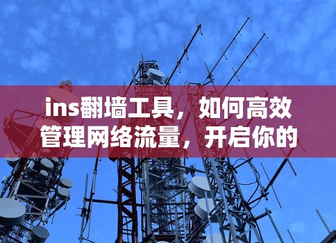 ins<strong>翻墙</strong>工具，如何高效管理网络流量，开启你的<strong>翻墙</strong>之旅？