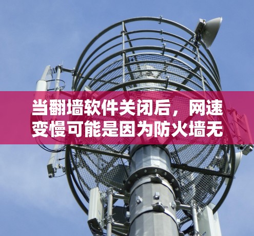 当<strong>翻墙</strong>软件关闭后，网速变慢可能是因为防火墙无法正常访问外部服务器，导致网络流量被阻止，从而影响了网速。以下是具体步骤和解决方法