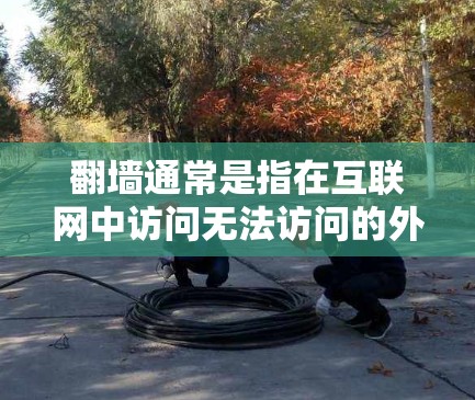 <strong>翻墙</strong>通常是指在互联网中访问无法访问的外部网络，例如通过VPN、防火墙或其他技术手段。如果您的软件需要通过<strong>翻墙</strong>才能使用，通常情况下，以下几种情况可能会发生