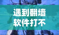 遇到<strong>翻墙</strong>软件打不开的问题，可以按照以下步骤进行解决