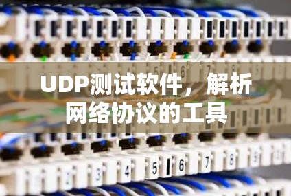 UDP测试软件，解析网络协议的工具
