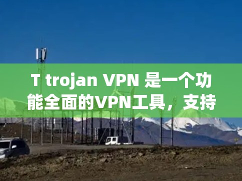T trojan VPN 是一个功能全面的VPN工具，支持多种加密协议和IP过滤功能，适合需要多种加密方式和保护功能的用户。以下是使用 T trojan VPN 的步骤和注意事项