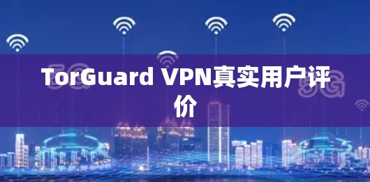TorGuard VPN真实用户评价 TorGuard VPN真实用户评价