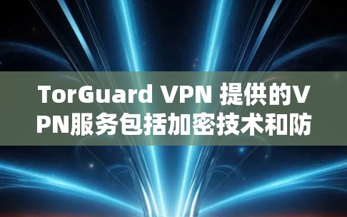 TorGuard VPN 提供的VPN服务包括加密技术和防火墙，这些都增强了其安全性。然而，真正的安全性需要具体的数据和评估来确认。以下是关于 TorGuard VPN 的详细分析