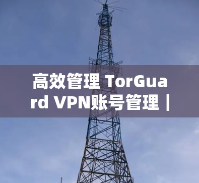 高效管理 TorGuard VPN账号管理｜使用指南