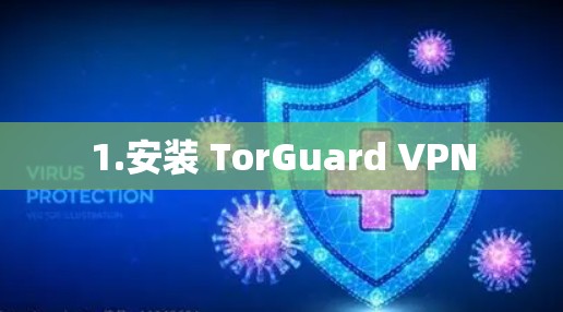 1.安装 TorGuard VPN