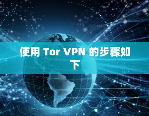 使用 Tor VPN 的步骤如下