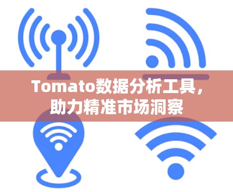 Tomato数据分析工具,助力精准市场洞察 Tomato数据分析工具,助力精准市场洞察