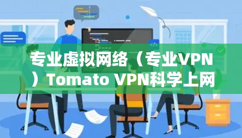 专业虚拟网络（专业VPN）Tomato VPN<strong>科学上网</strong>