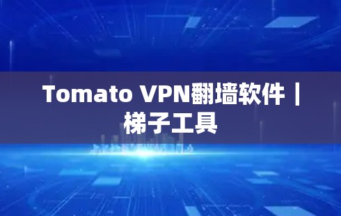 Tomato VPN翻墙软件｜<strong>梯子</strong>工具