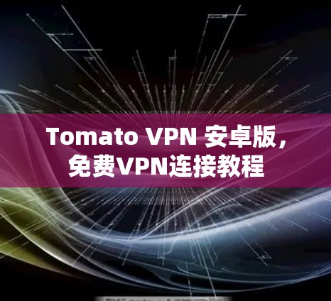 Tomato VPN 安卓版，免费VPN连接教程