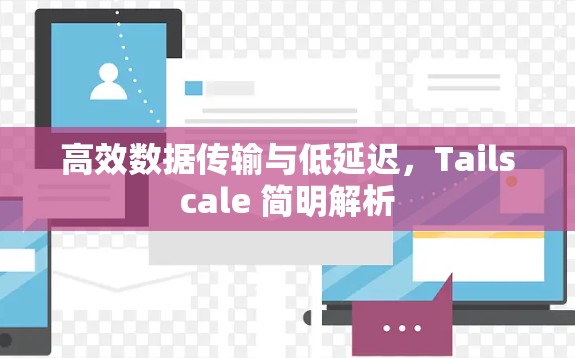 高效数据传输与低延迟，Tailscale 简明解析