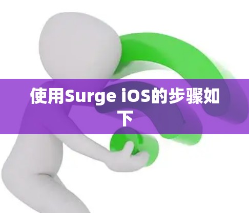 使用Surge iOS的步骤如下